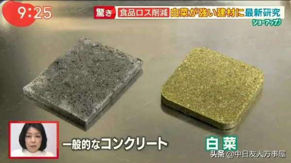 用白菜蓋房子，當作建材是混凝土的４倍，不但環保還可以拿來吃？