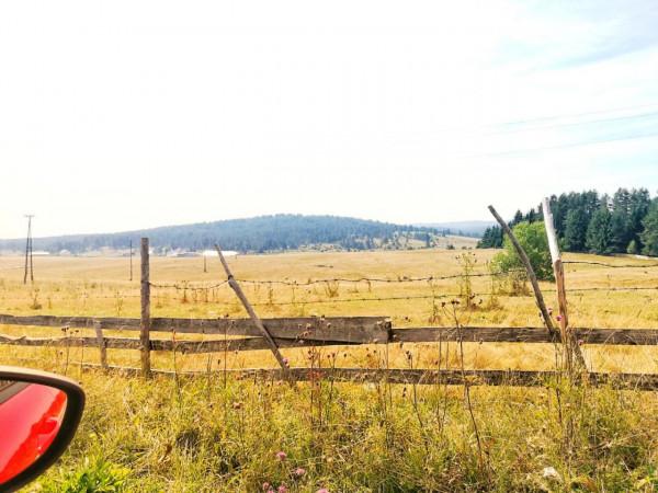 塞爾維亞和波黑之旅