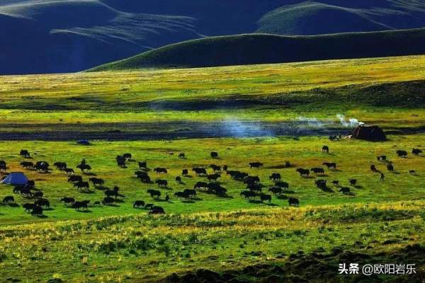 不知道去哪裡旅行?不如就從中國這些最美的地方,走起吧 不知道去哪裡旅行?不如就從中國這些最美的地方,走起吧