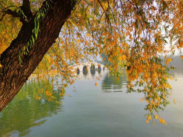 北京玉淵潭公園：如詩如畫的秋日美景