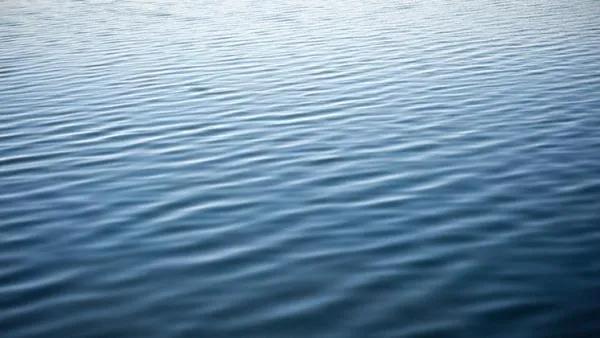 沉浸式閱讀 沉浸式閱讀