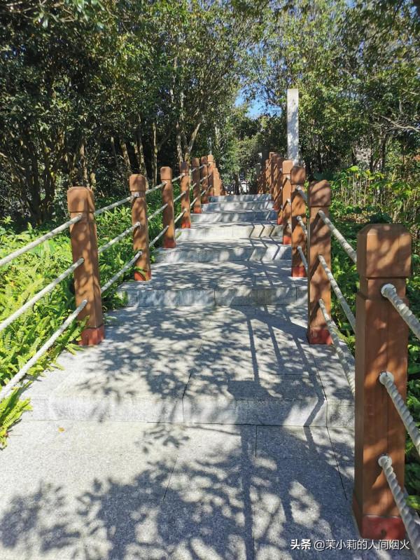 塘朗山&plus;深雲谷，我一天連爬這兩座山，也是沒誰了
