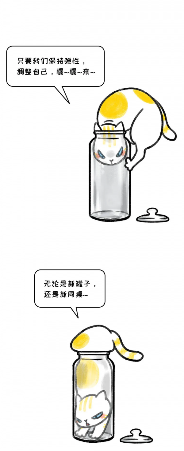 生活不如意，學學小貓咪