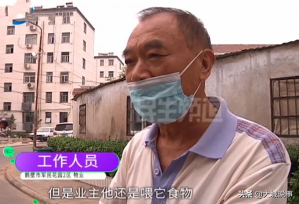 河南:小區裡流浪貓太多,多位業主家裡有跳蚤,希望鄰居不要喂貓 河南:小區裡流浪貓太多,多位業主家裡有跳蚤,希望鄰居不要喂貓