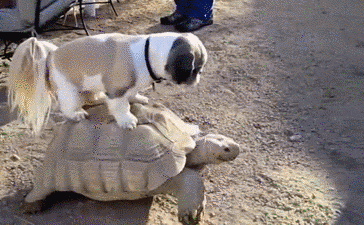 有人每天跑步五公里猝死，劇烈運動傷身傷氣血嗎？