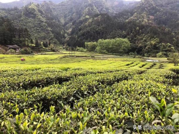 2021：三十歲的我，生活一路向前