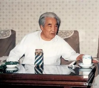 神槍手出身綠林,對隊長說:你交槍給我,不怕我打你一槍就跑? 神槍手出身綠林,對隊長說:你交槍給我,不怕我打你一槍就跑?