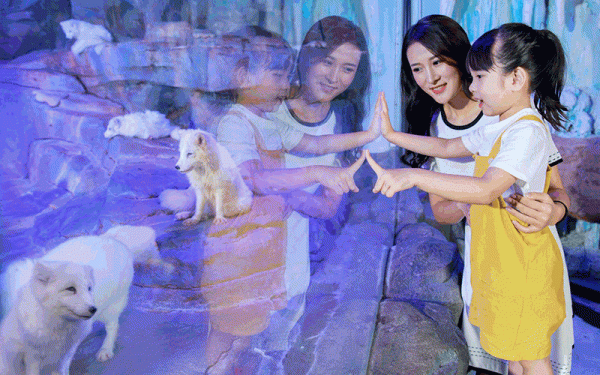 人魚傳說、消失的亞特蘭蒂斯，正佳極地海洋世界有哪些好玩的故事