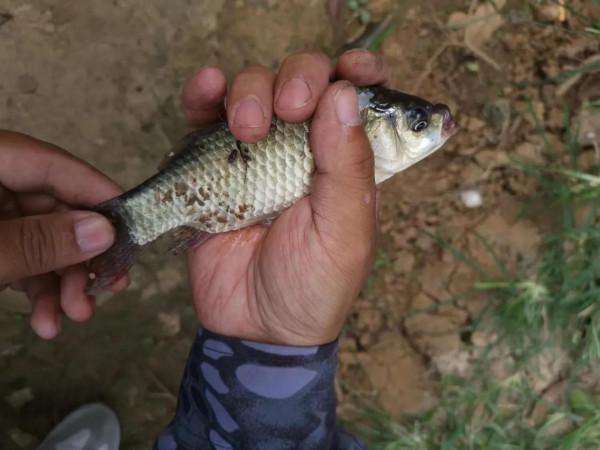去釣魚,結果被魚給釣了,怎麼辦,要不要跳水裡? 去釣魚,結果被魚給釣了,怎麼辦,要不要跳水裡?