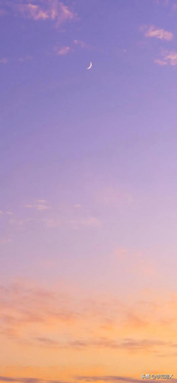 桌布上，我在橋上看風景