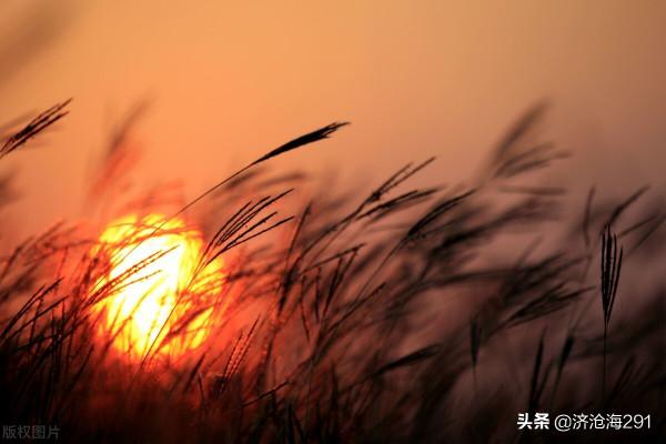 一首臨江仙，哀婉靈動，被譽為納蘭詞的壓卷之作