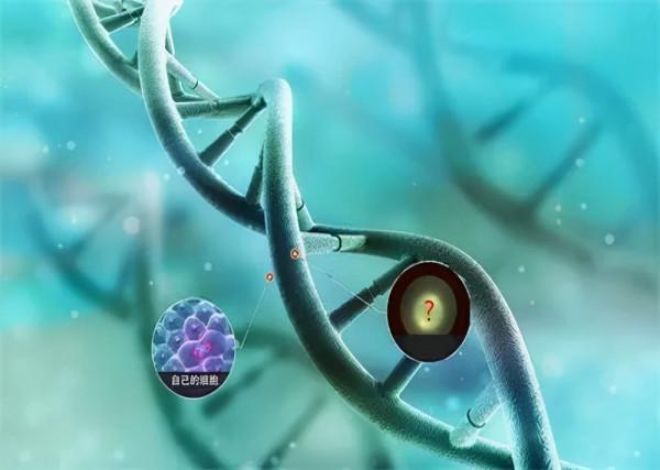 女子連生3個孩子，做親子鑑定後，發現孩子跟自己沒有親子關係