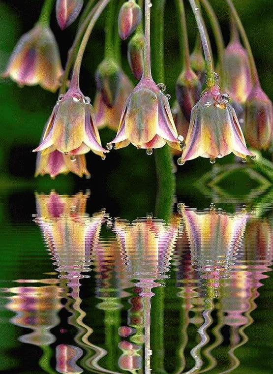 太美了,世界的風景 太美了,世界的風景