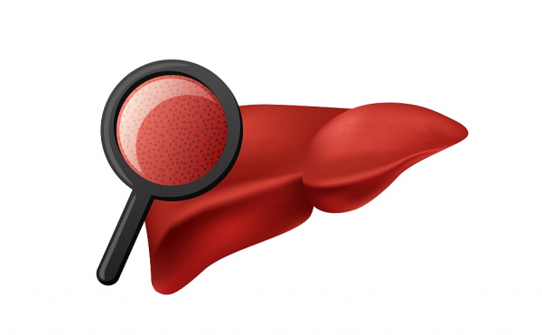 長期吃恩替卡韋的乙肝患者，身體會有什麼影響？吃多久可以停藥？