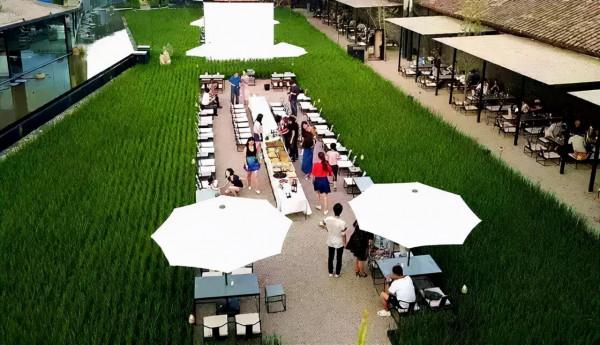 菜吧:稻田裡的民宿,滿足了人們對田園風光的無限遐想 菜吧:稻田裡的民宿,滿足了人們對田園風光的無限遐想