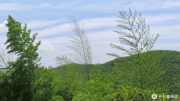 人生只合住湖州!景美,好吃,消費低!記3天2晚慢生活之旅 人生只合住湖州!景美,好吃,消費低!記3天2晚慢生活之旅