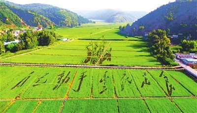 南泥灣，還是“陝北的好江南”（來這裡打卡（39））