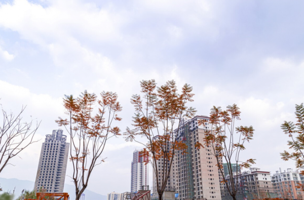 看看這幾類不合適購買的城市住房 , 你踩雷了沒有