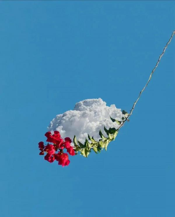 高三月考520是什麼水平？