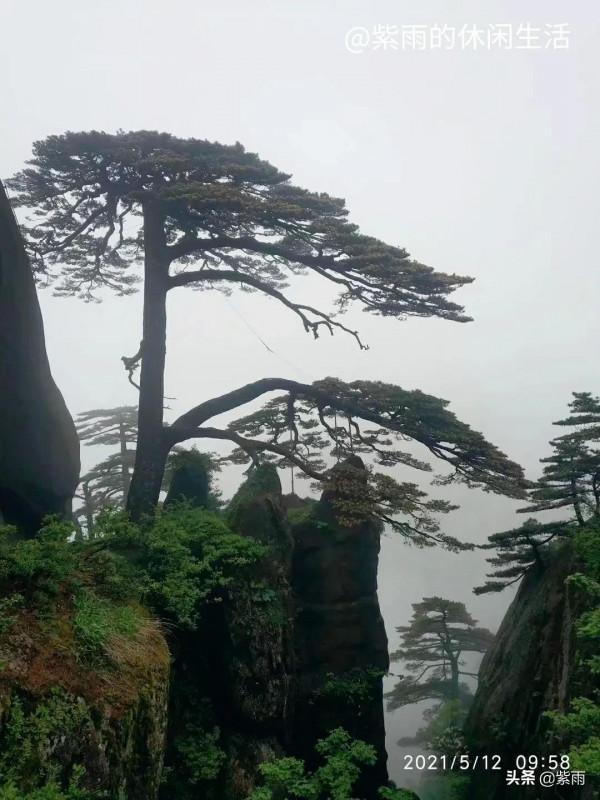 休閒自駕遊記 最後篇 小結 休閒自駕遊記 最後篇 小結