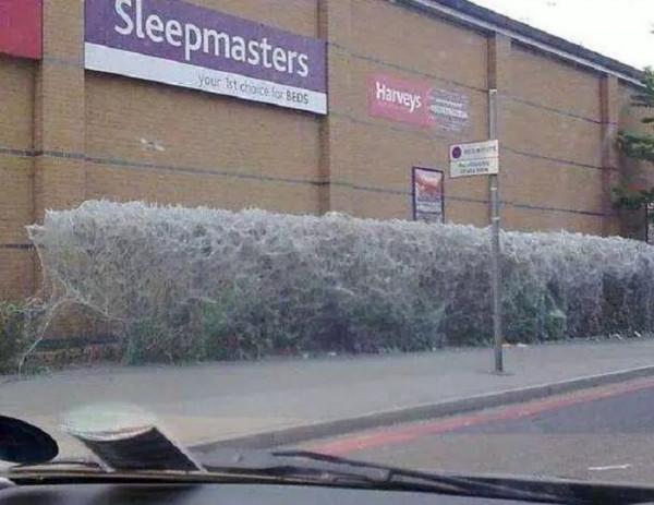 有些照片看似普通,卻讓人感到恐懼 有些照片看似普通,卻讓人感到恐懼