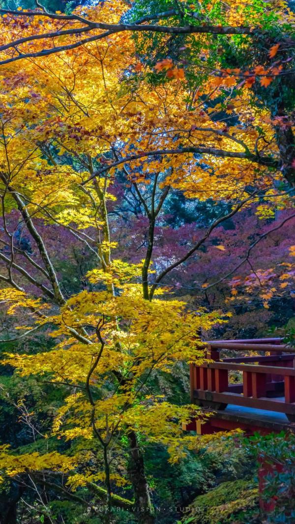 逛逛日本 &vert; 一券在手 遊走日本升龍道夢之旅