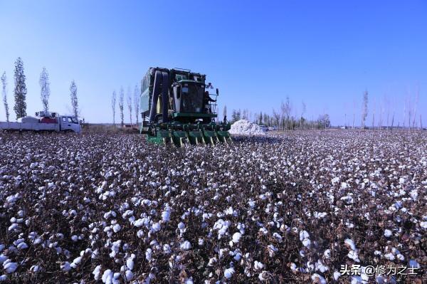 新疆農民收入高於城裡人，這一說法對嗎？聽我來給你分析