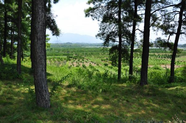 星爺與捷途紅色自駕之旅第5程：于都到興安