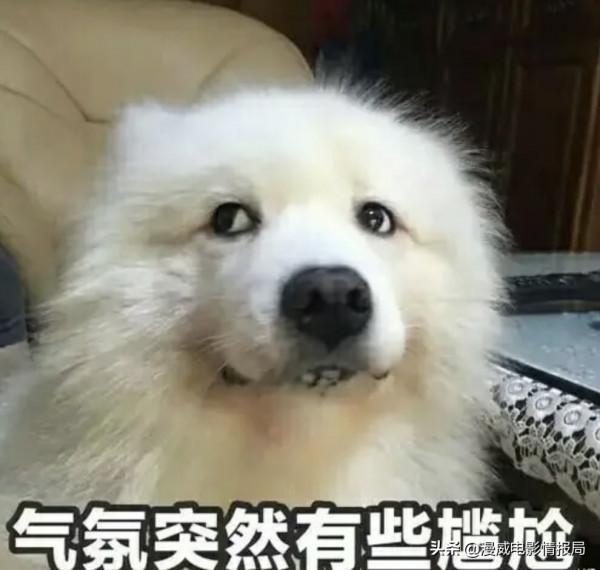 加入門檻超高的漫威光照會，為何總是被吐槽成事不足敗事有餘？