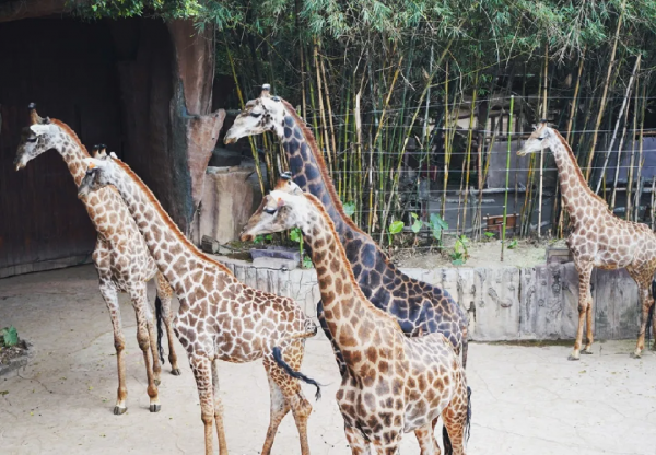 中秋還在糾結?廣東這些地方都是親子游的天堂 中秋還在糾結?廣東這些地方都是親子游的天堂