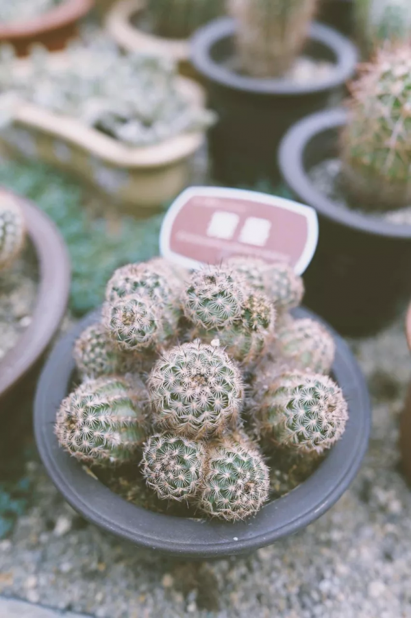 旅行就是一場修行，這10個最美的旅行地，攢錢也要去