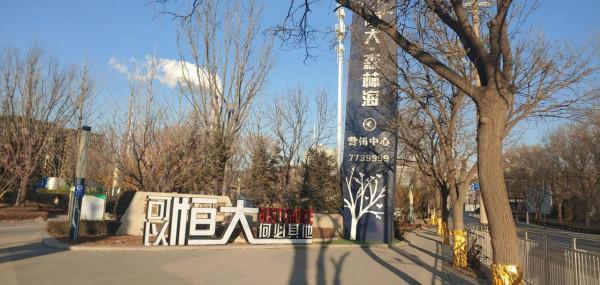 恆大森林海探班