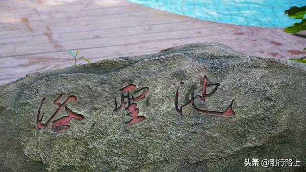 南灣猴島丨邀你赴一場別樣的“做客”之旅