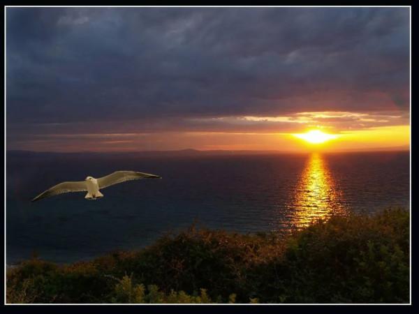 海洋的景色，真美