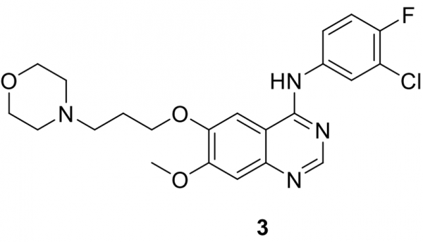 藥物發現&boxv;FDA批准的小分子激酶抑制劑&lpar;1995&minus;2021&rpar;