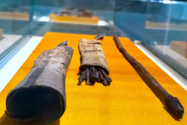 巴西形成於13000年前的隧道,學者確認:建造者不是人類 巴西形成於13000年前的隧道,學者確認:建造者不是人類