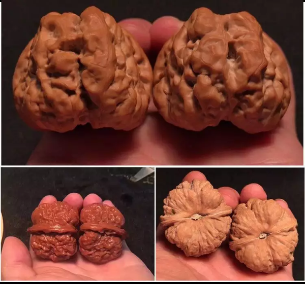 四道雙開背,八面蛤蟆尊 四道雙開背,八面蛤蟆尊