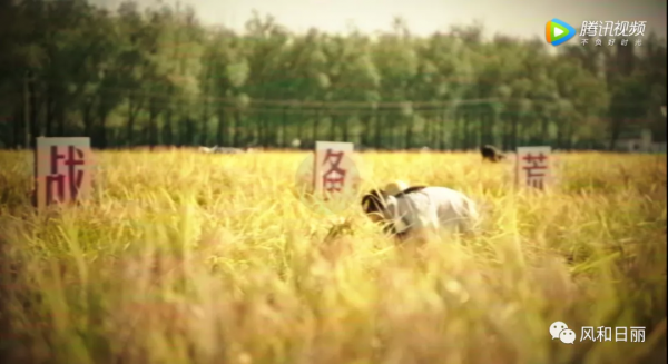 《假日暖洋洋2》：一碗米飯都能演一集，這米飯裡還有魔幻成分？