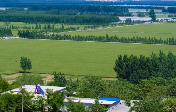 法院判決：土地承包經營權不以取得權證為確權依據