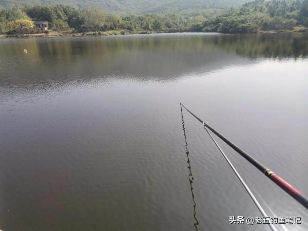 看重慶禁魚區新管理制度，釣魚人迎來春天，值得全國推廣