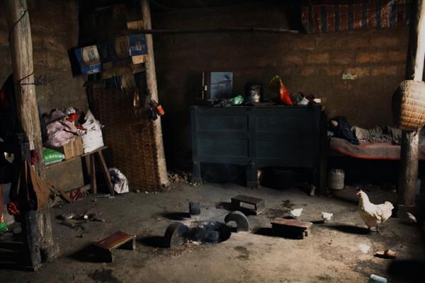 冬天的雪後 立春還遠嗎（三）