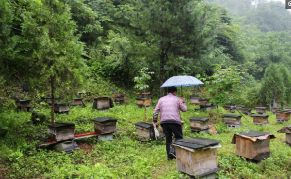 兩年前漂亮妻子因病去世，如今45歲丈夫想她時就對著愛妻相片哭訴