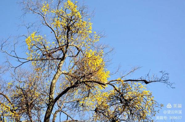 乘坐西峰索道上華山