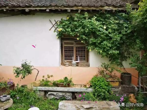 什麼才是人生最幸福的事，2022年我想有個開滿花的院子