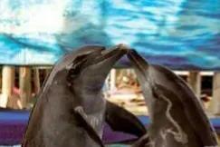 冬天雖冷,因為有你相擁而溫暖 冬天雖冷,因為有你相擁而溫暖