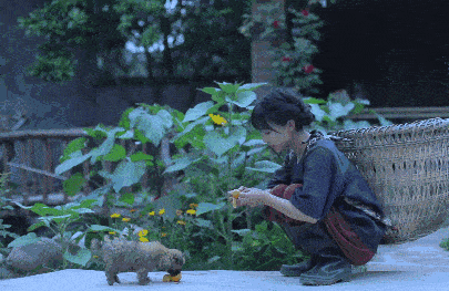 李子柒“隱居”地公開，這座比成都還安逸的城市，究竟是什麼地方