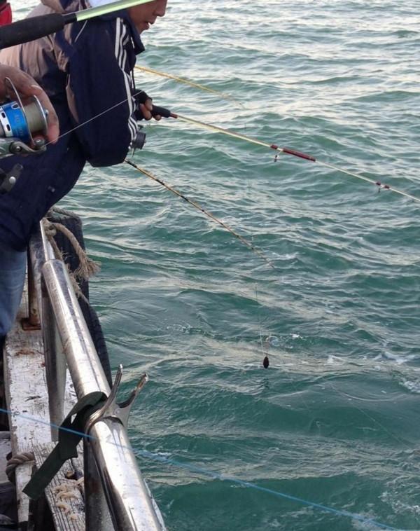 常有人羨慕海員可以隨時釣魚，但其實海員釣魚也有自己的規矩……