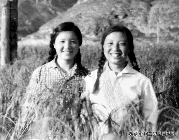 「知青往事」黃土高坡上的若寺灣