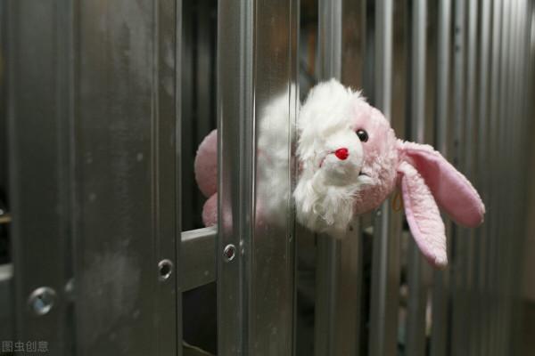 看新聞學英語 韓國前總統朴槿惠獲文在寅特別赦免