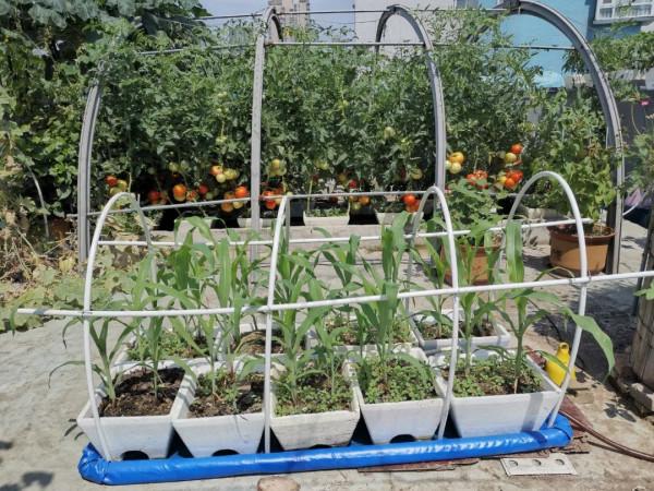 新式移動淺池,讓二培更加方便 新式移動淺池,讓二培更加方便